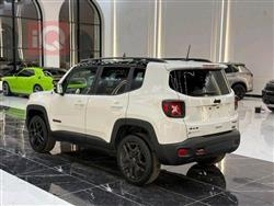 جيب رينيجيد